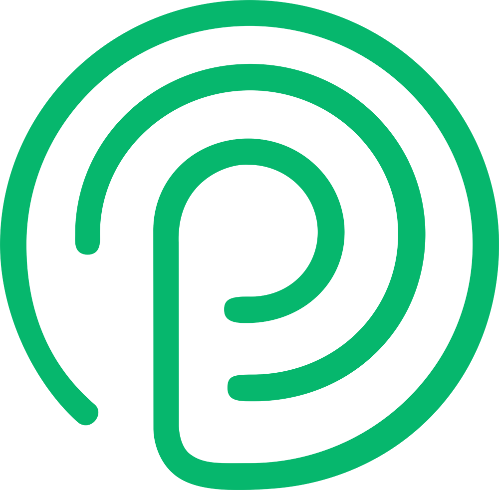 Pointa.video icon